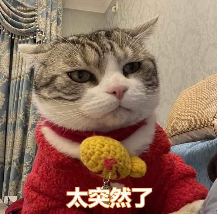 DƬ